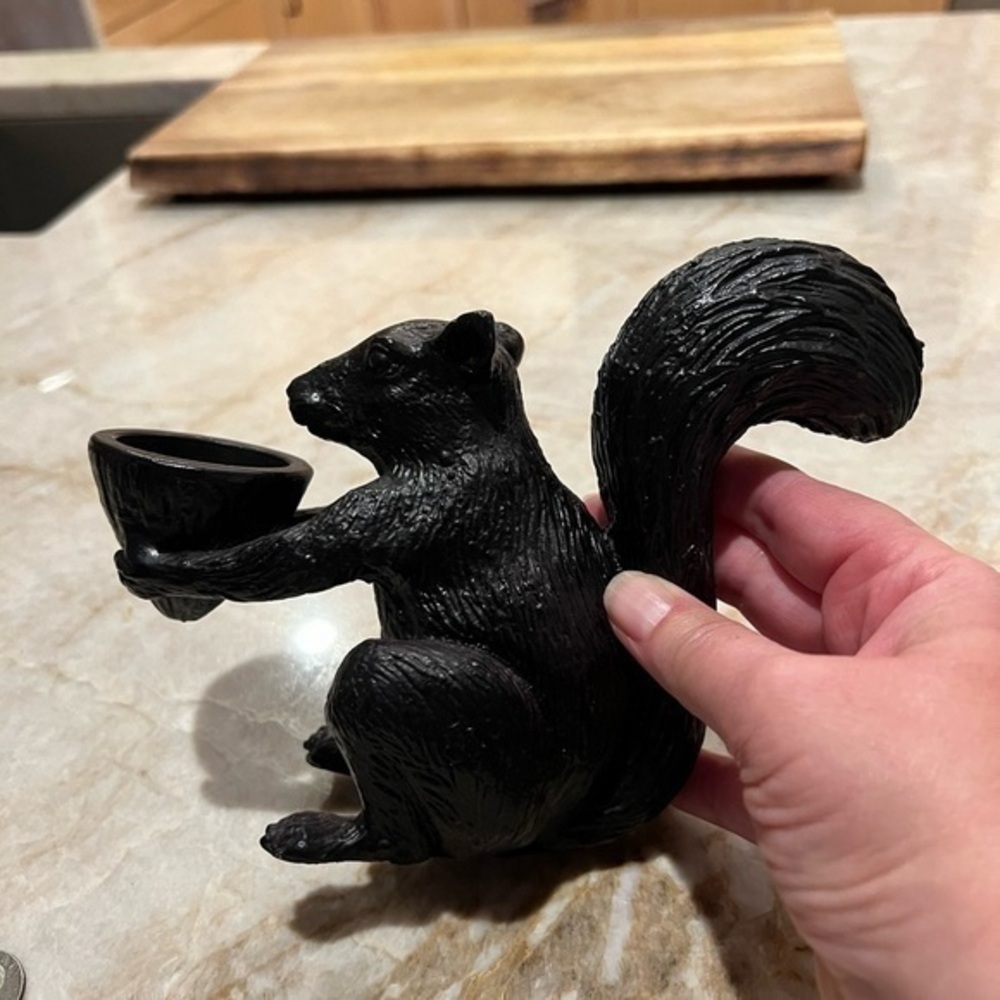 ๐ฟ๏ธ Black metal squirrel. Can hold a candle or acorns. Great decor piece. Heavy.